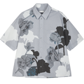 Grey Color